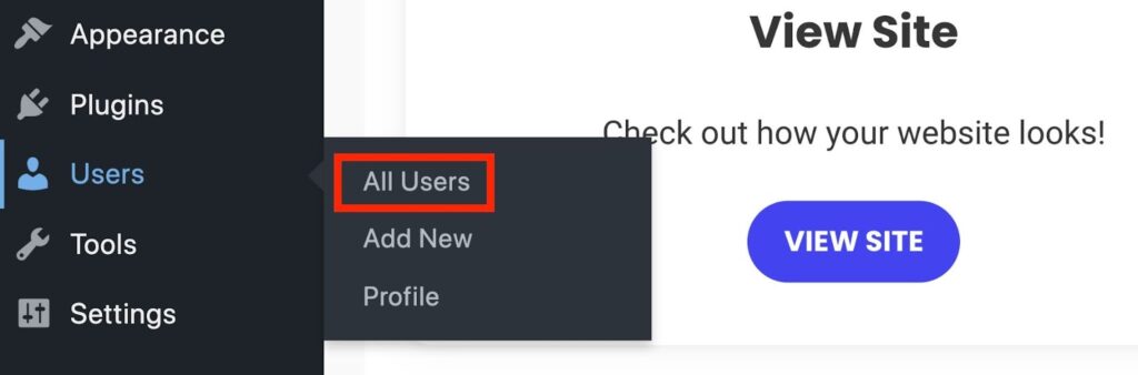 Accessing all users from the WordPress dashboard.