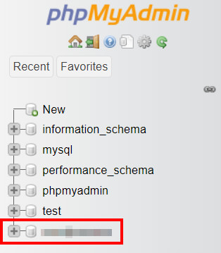 Accessing the WordPress database from phpMyAdmin.