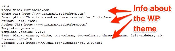 info about wp theme