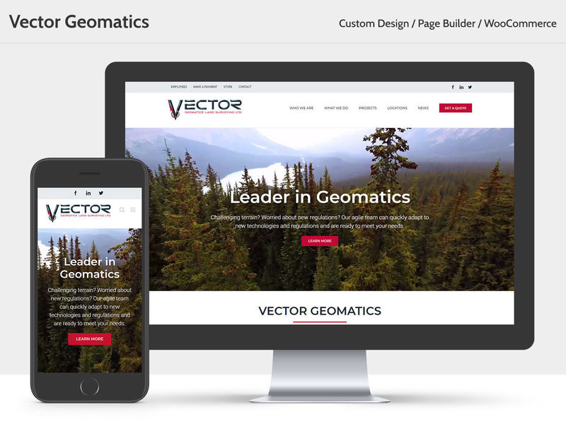 Vector Geomatics