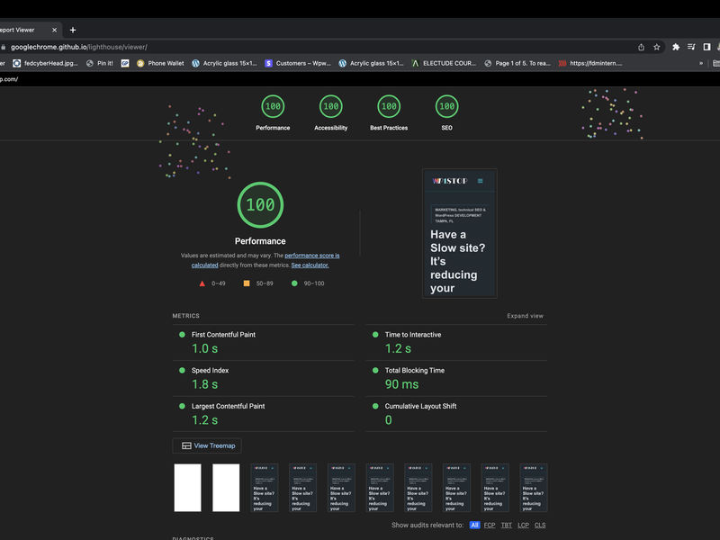 100 Core Web Vitals Scores