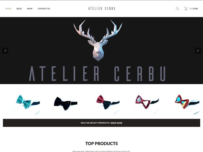 WordPress+WooCommerce online store, for a french bow-ties factory