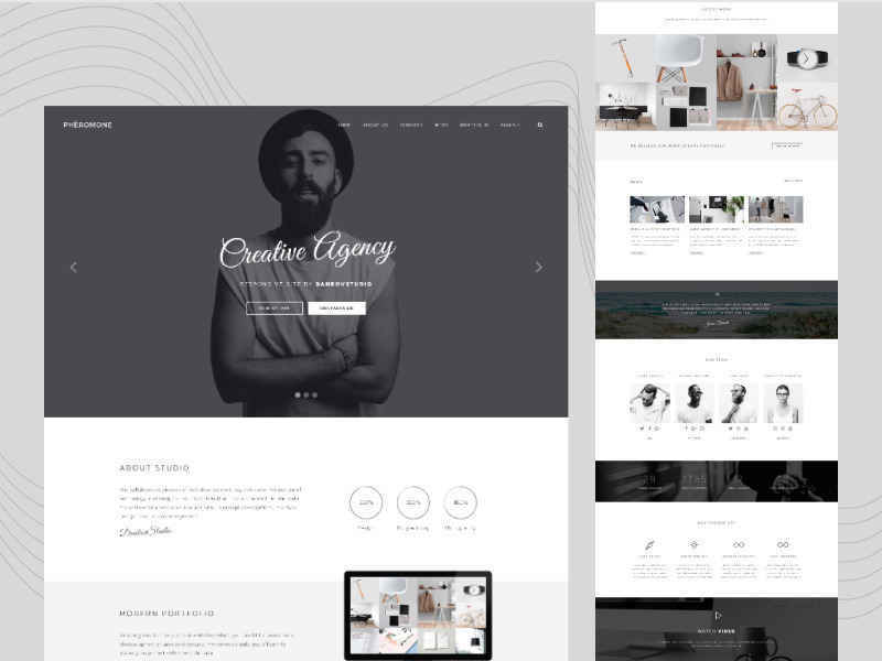 Pheromone - Elegant WP Theme