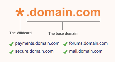 Wildcard SSL certificate example