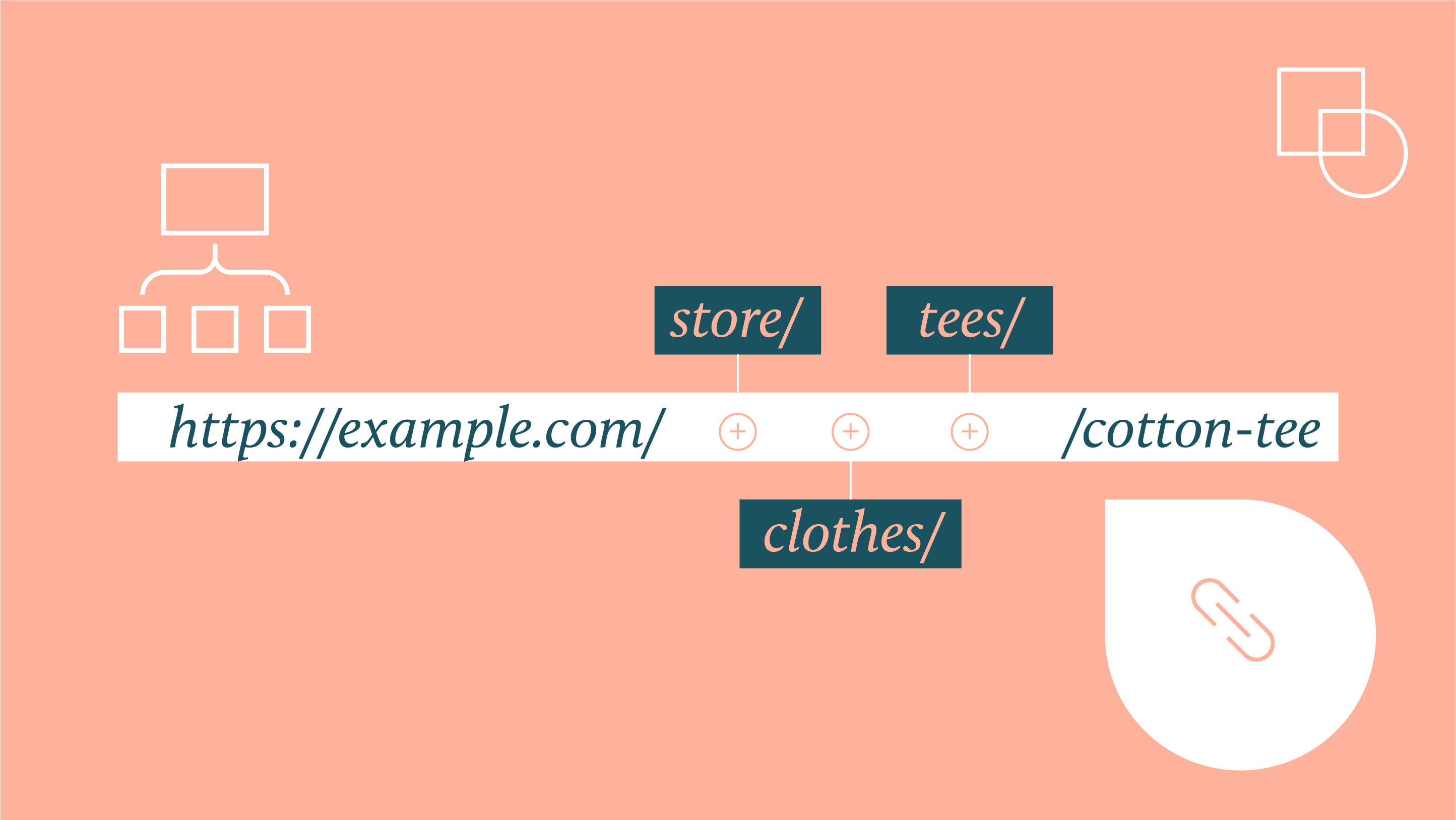 wordpress taxonomy url